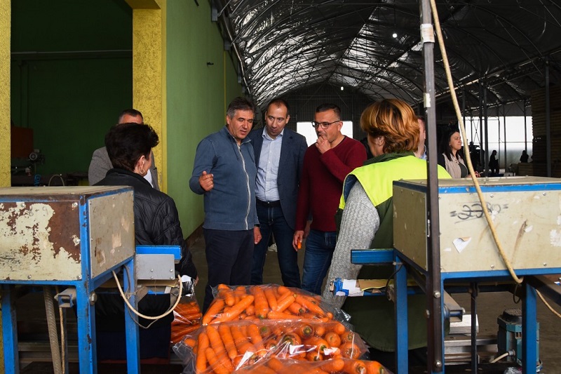 НЕДИМОВИЋ И РАДОЈЕВИЋ ОБИШЛИ ПОЉОПРИВРЕДНА ГАЗДИНСТВА У СИРИГУ И ГОСПОЂИНЦИМА НЕДИМОВИЋ И РАДОЈЕВИЋ ОБИШЛИ ПОЉОПРИВРЕДНА ГАЗДИНСТВА У СИРИГУ И ГОСПОЂИНЦИМА